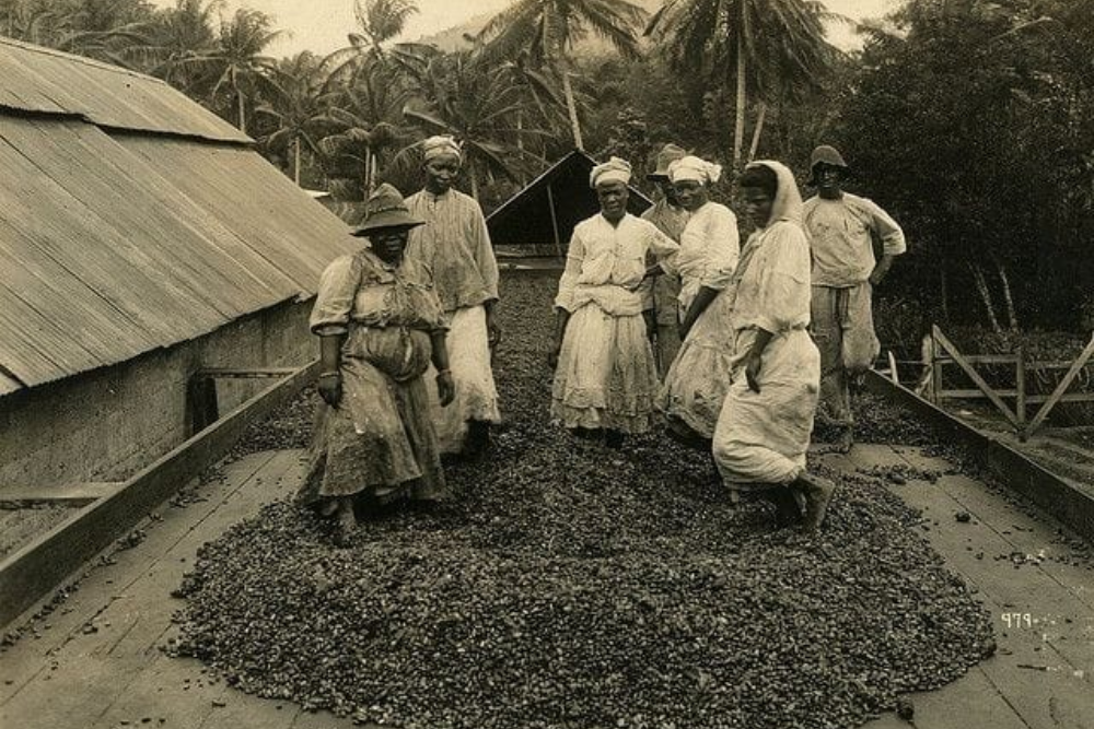 Evolving History of Coffee 