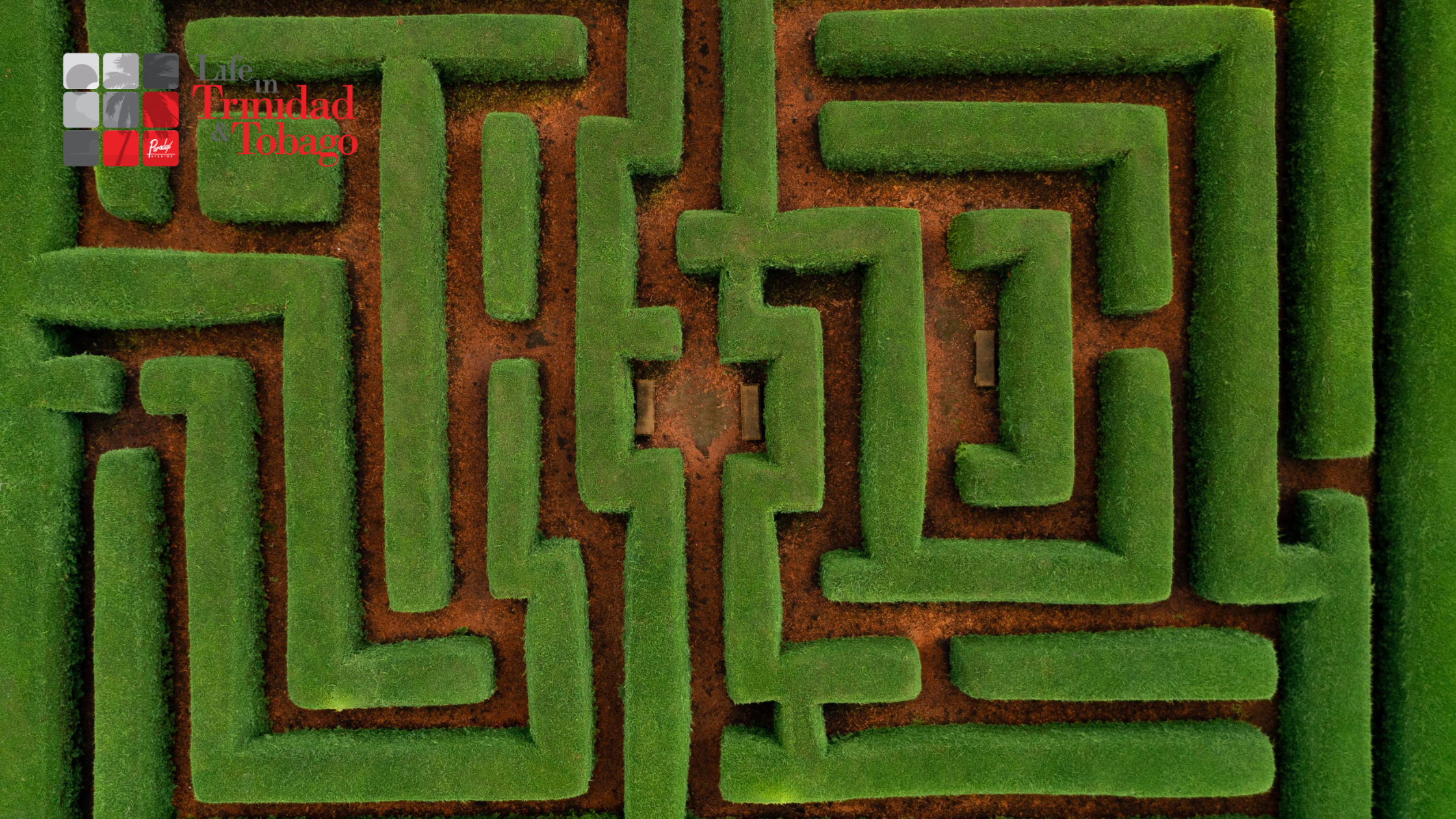 choosing a landscaping company 3