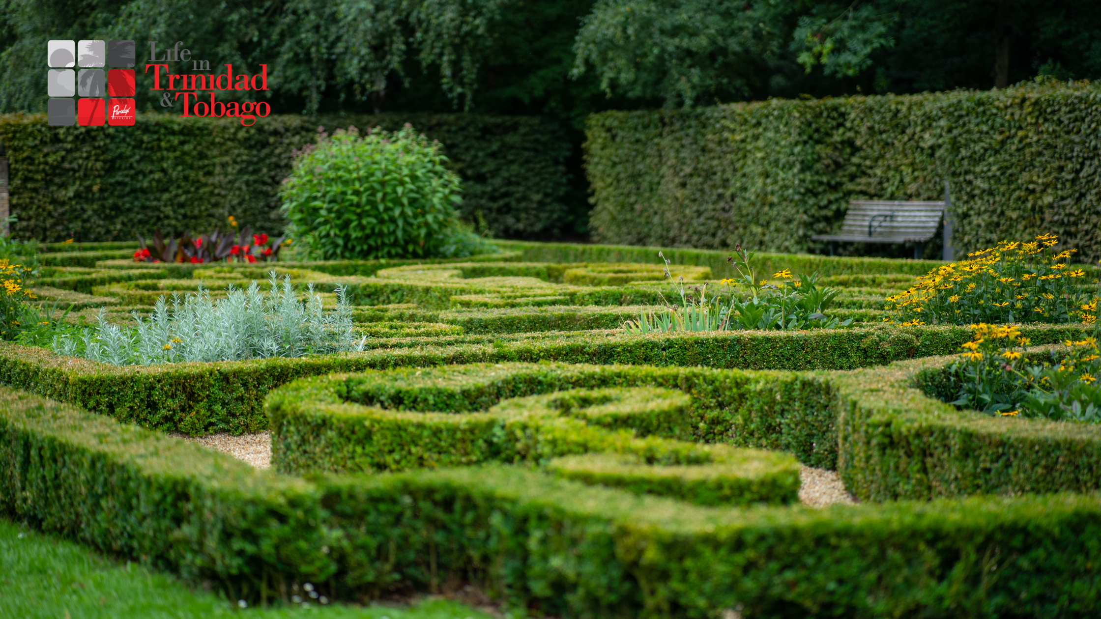 choosing a landscaping company 4