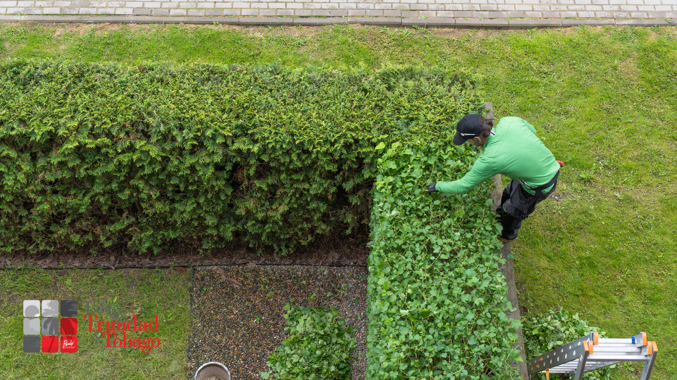 choosing a landscaping company 2