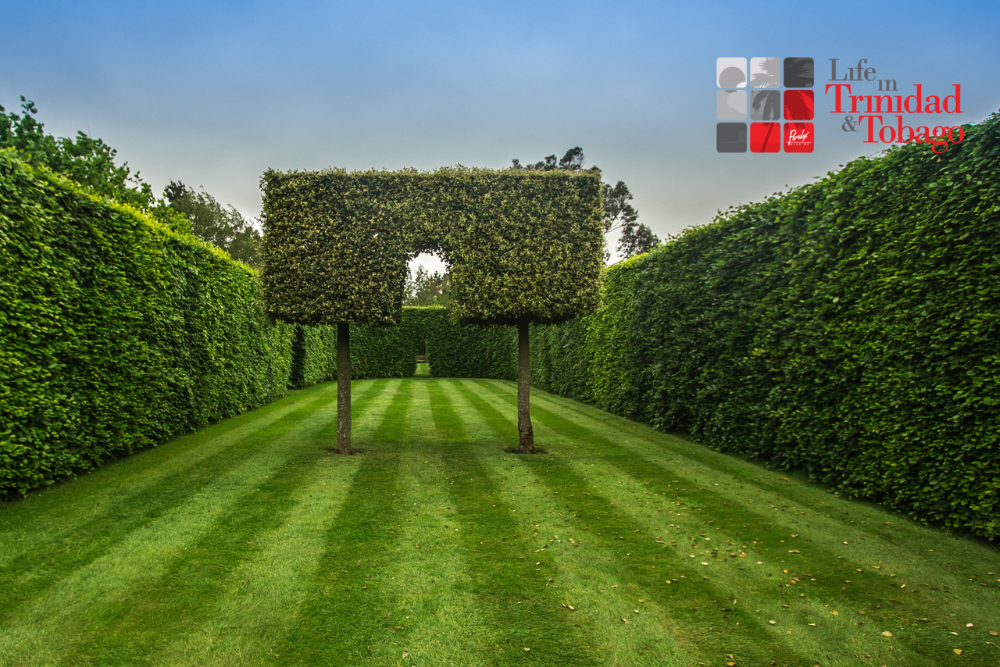 Reliable Landscaping Companies in Trinidad