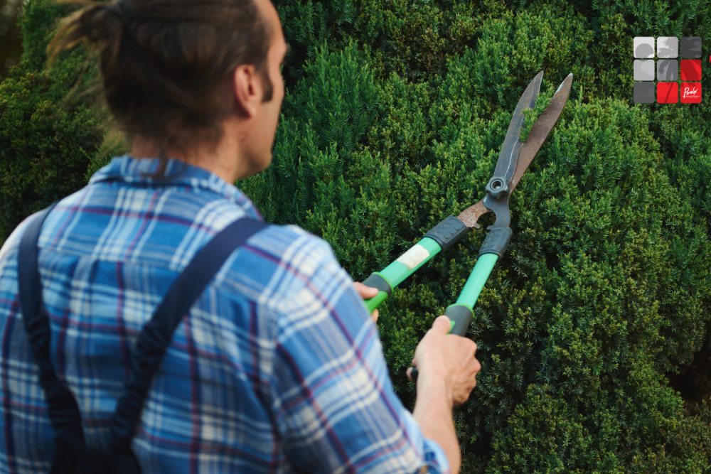 Reliable Landscaping Companies in Trinidad